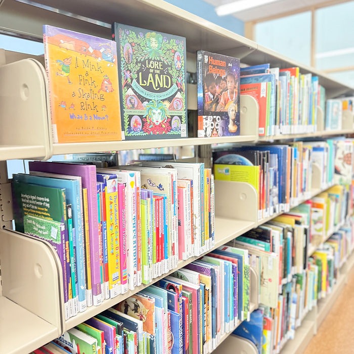 A photo of picture books at the library.