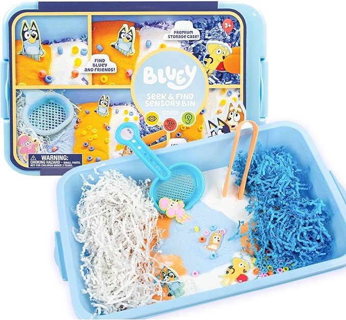 Bluey Sensory Bin Kit