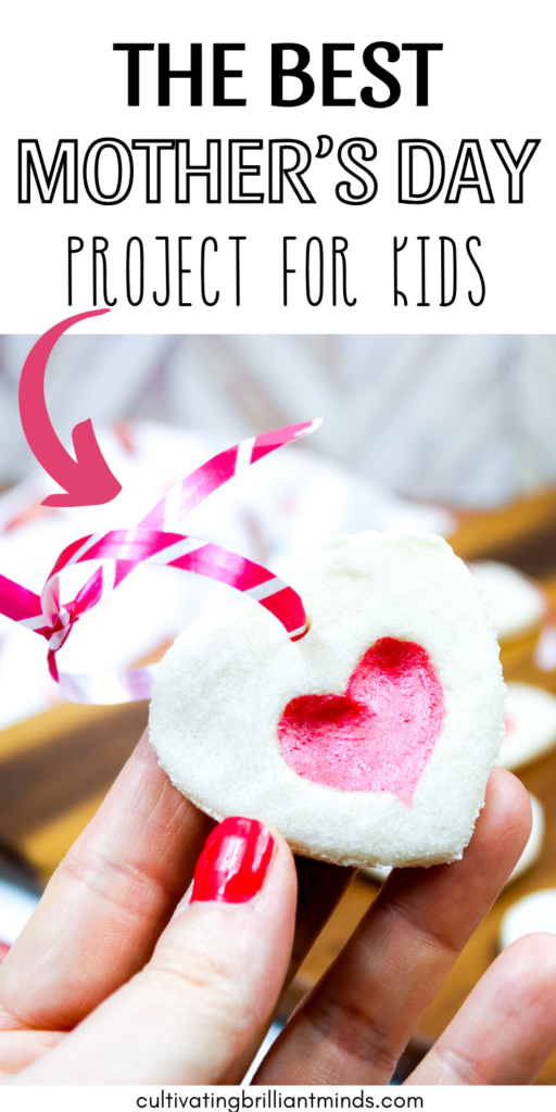 3 - Cultivating Brilliant Minds the best mother's day gift for kids