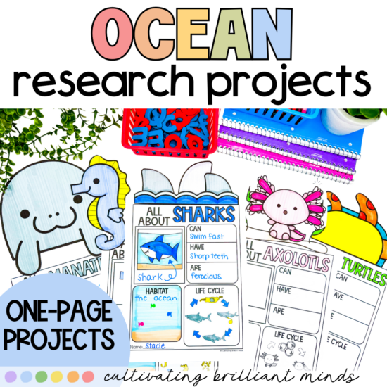 Ocean research projects