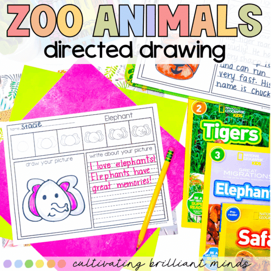 zoo animal directed drawing