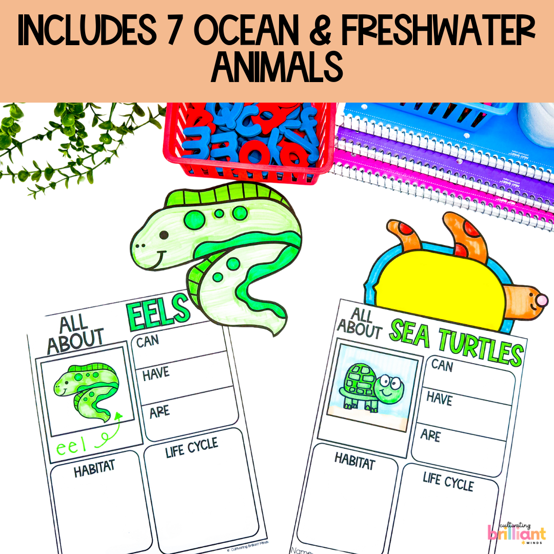 2 - Cultivating Brilliant Minds Ocean research projects