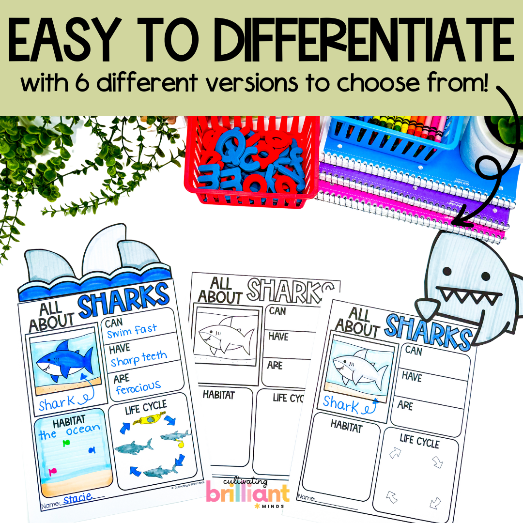 3 - Cultivating Brilliant Minds Ocean research projects