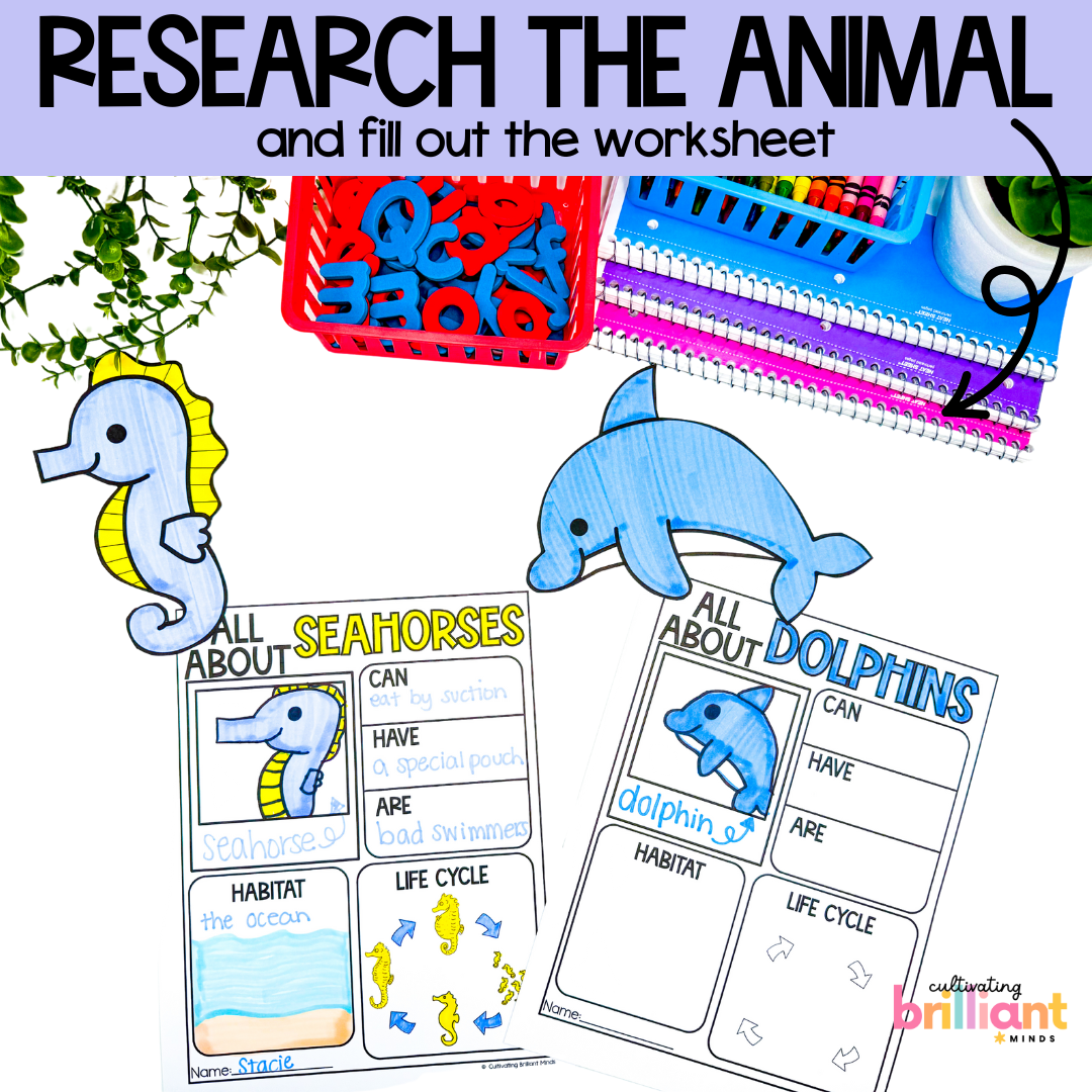 4 - Cultivating Brilliant Minds Ocean research projects