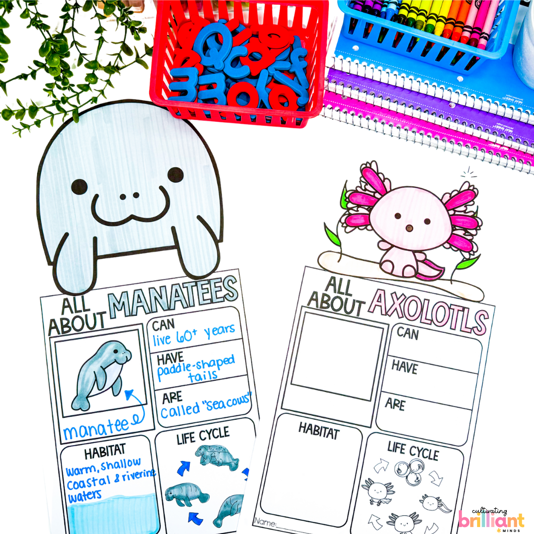 5 - Cultivating Brilliant Minds Ocean research projects