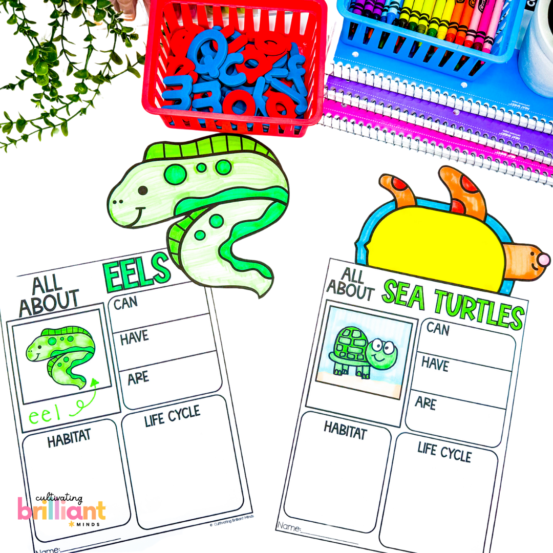 6 - Cultivating Brilliant Minds Ocean research projects