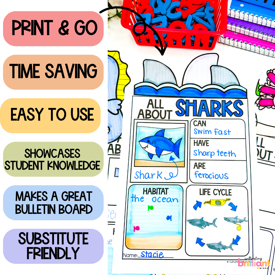 7 - Cultivating Brilliant Minds Ocean research projects