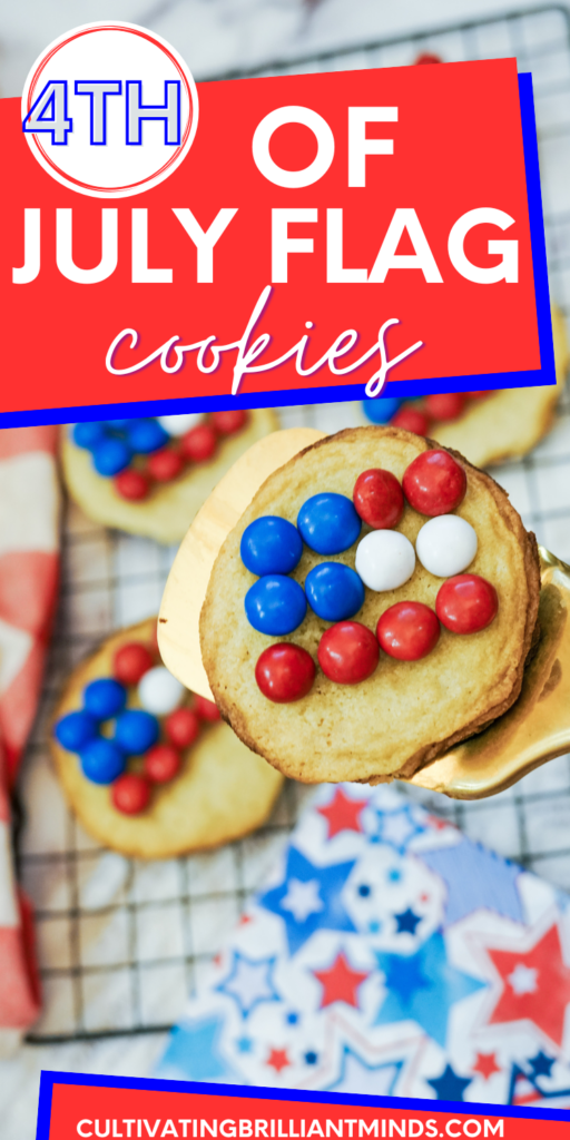 Copy of PIN SET 17A 2021 - 750x1500 - Cultivating Brilliant Minds fourth of july flag cookies