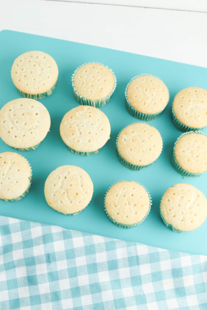 Swimming Bear Cupcakes - Cultivating Brilliant Minds swimming bear cupcakes