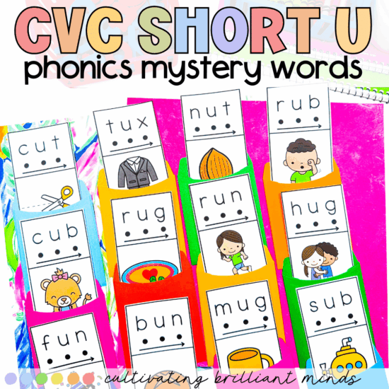 CVC short U phonics mystery words