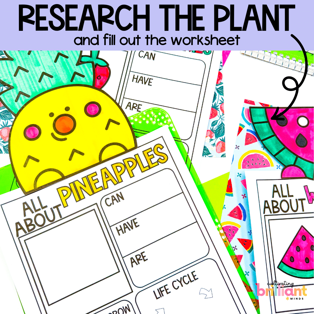 4 - Cultivating Brilliant Minds Plants research projects