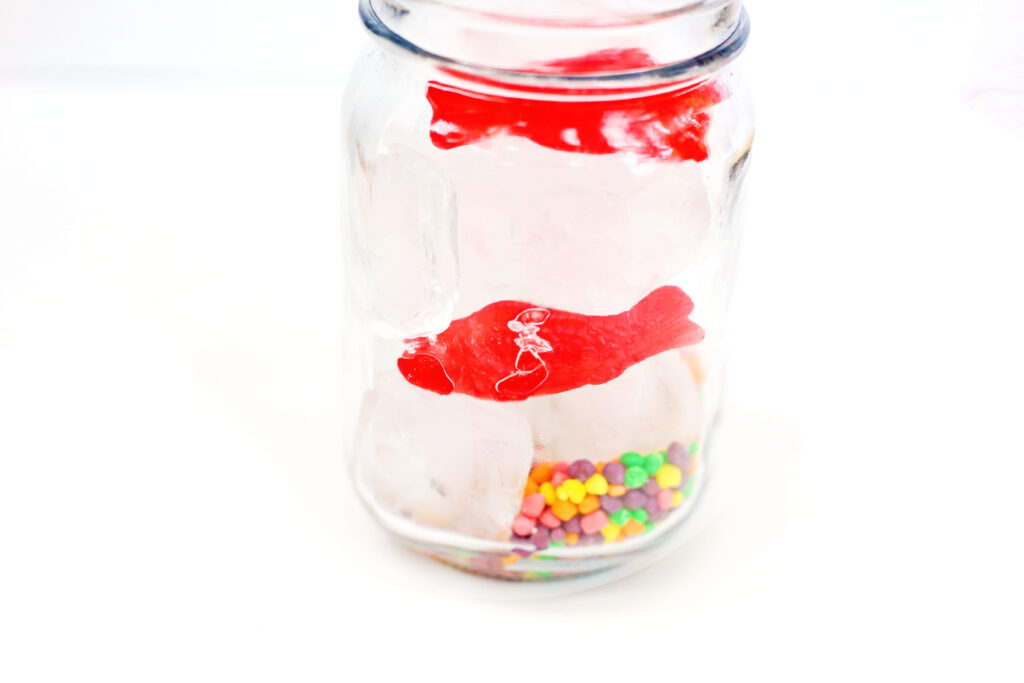 Add ice and Swedish Fish - Cultivating Brilliant Minds Add ice and Swedish Fish