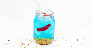 summer ocean drink