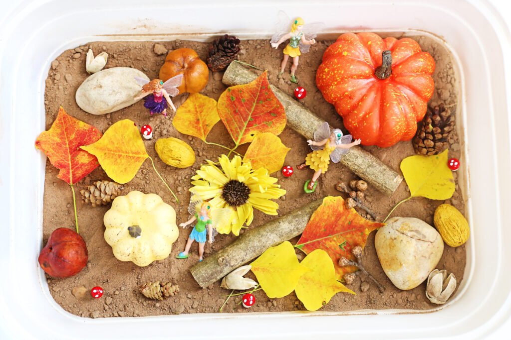 fall fairy garden sensory bin