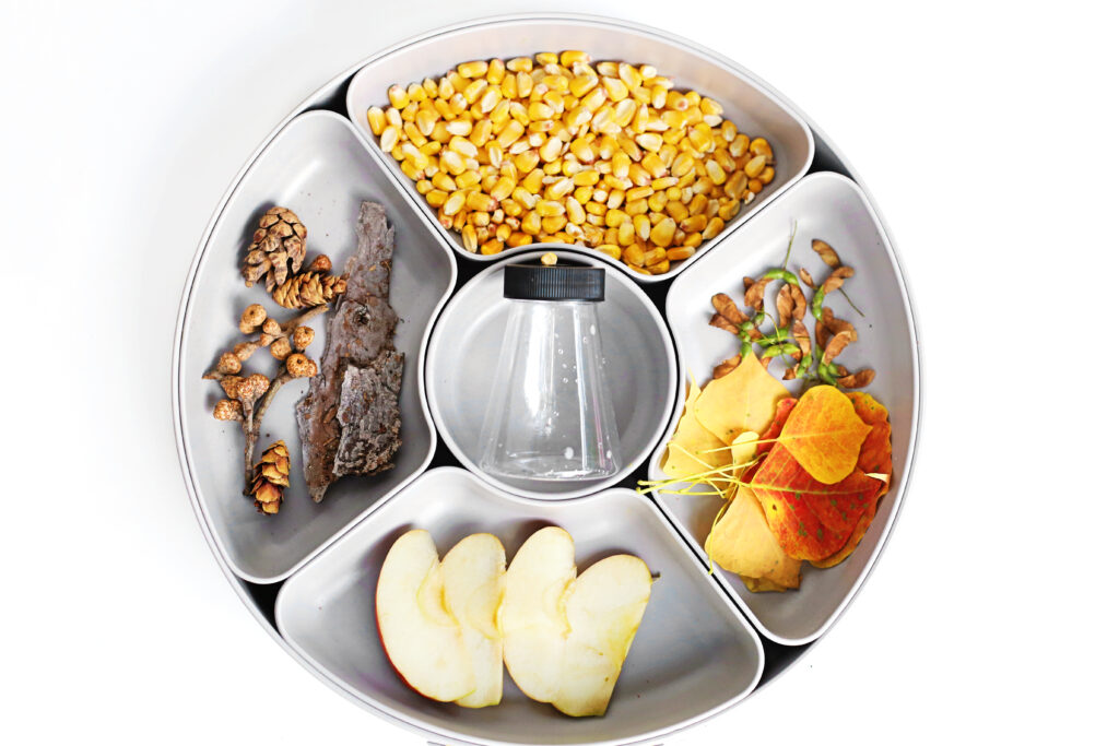 Fall Potion Station 1 - Cultivating Brilliant Minds fall potion station