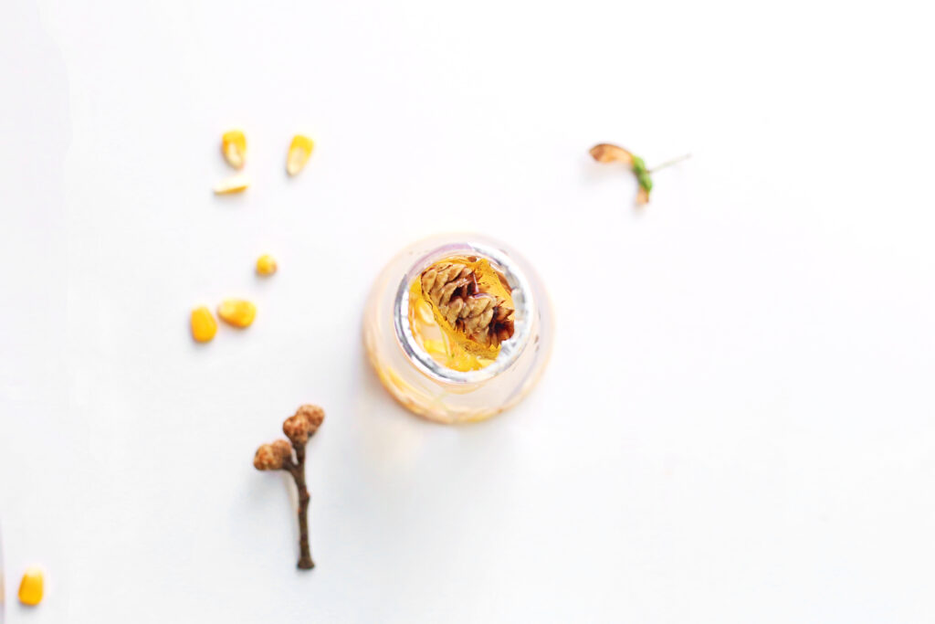 Fall Potion Station 3 - Cultivating Brilliant Minds fall potion station