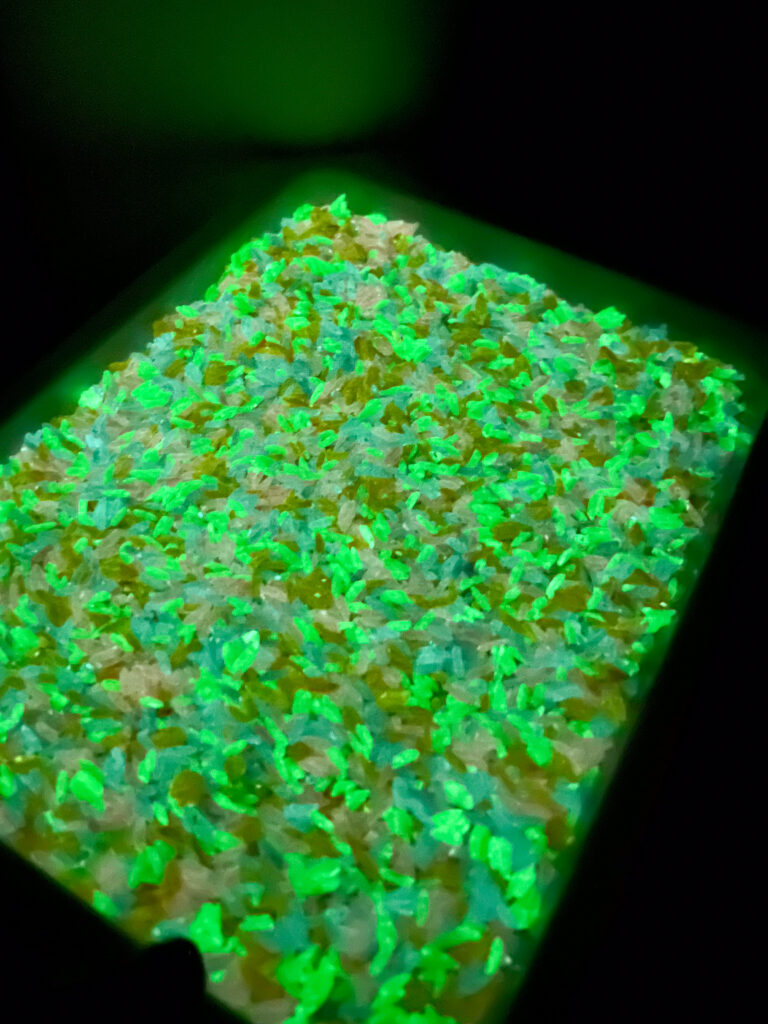 IMG_7548 - Cultivating Brilliant Minds glow in the dark rice