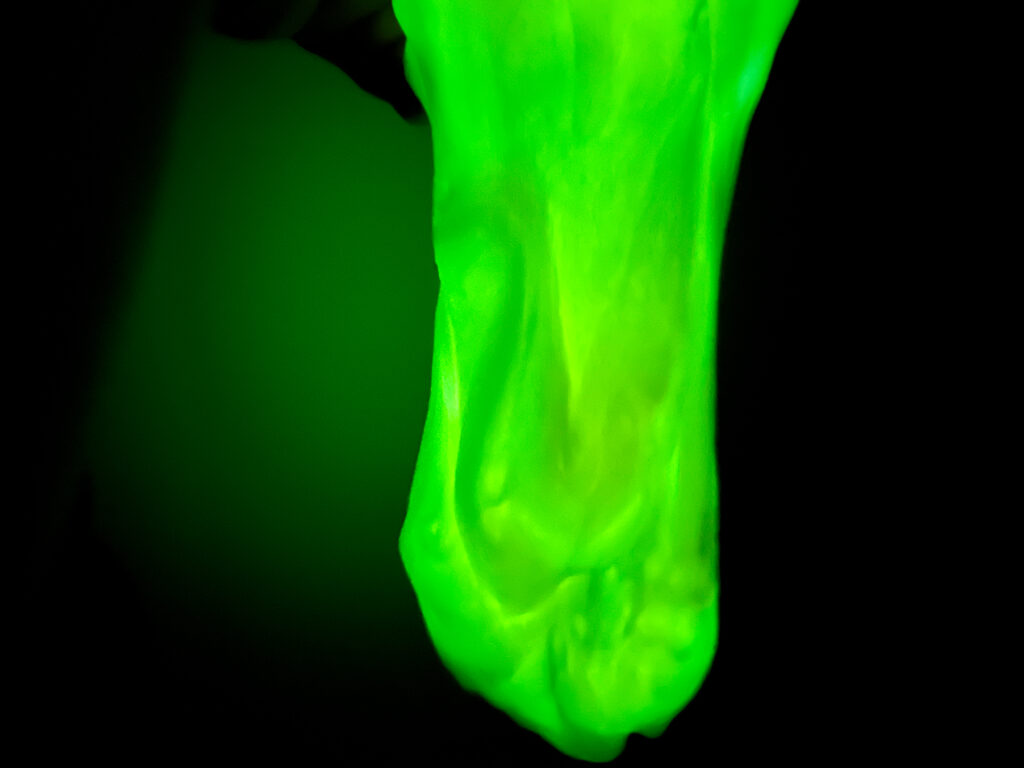 IMG_7730 - Cultivating Brilliant Minds glow in the dark slime