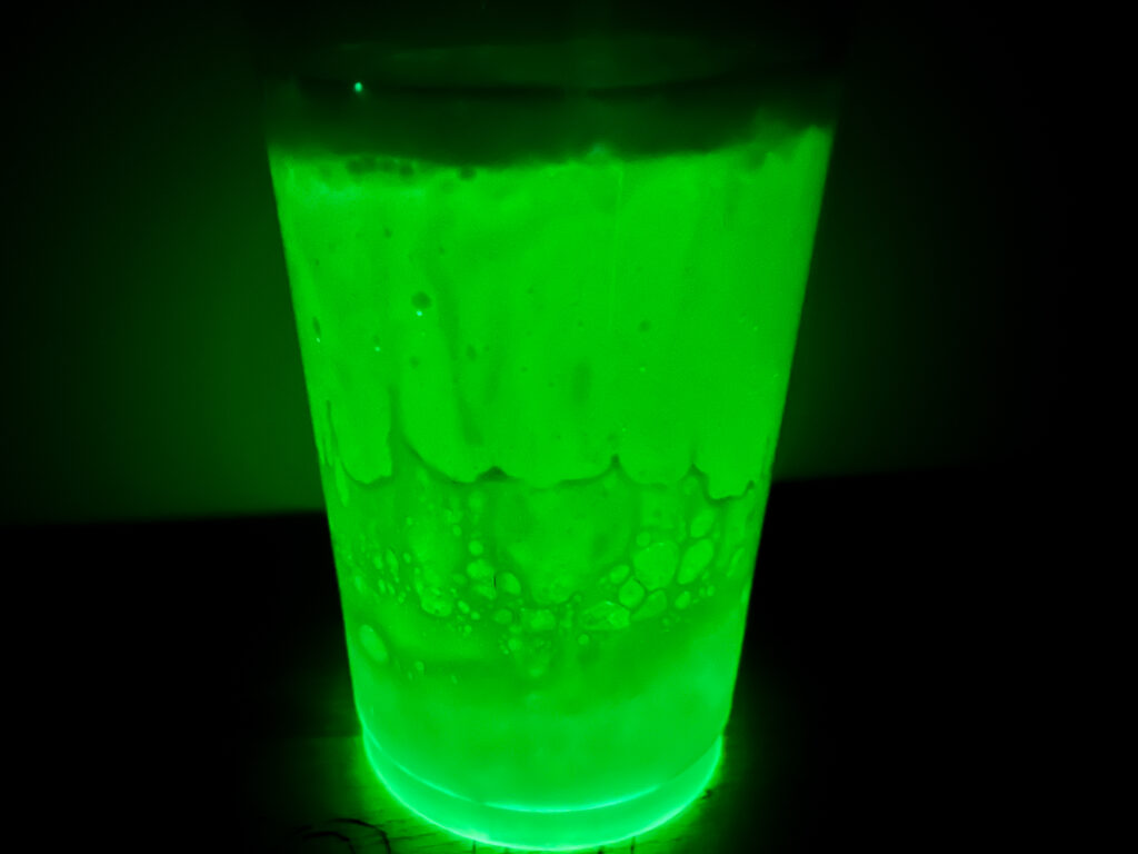 IMG_8007 - Cultivating Brilliant Minds glow in the dark lava lamp