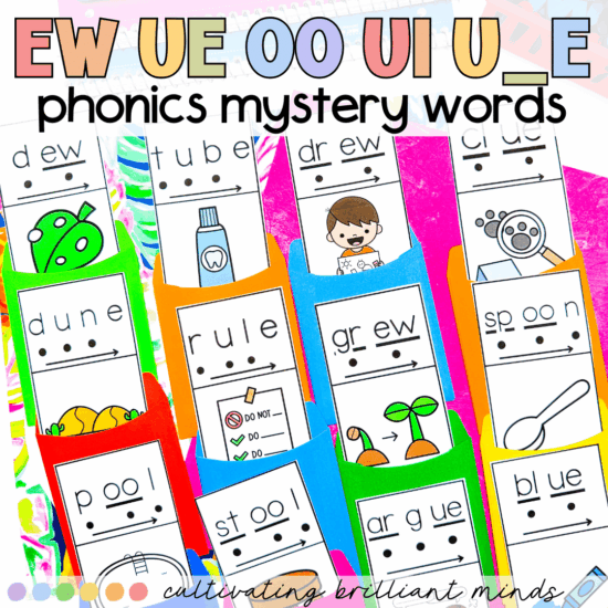 EW, UE, OO, UI, U_E phonics mystery words