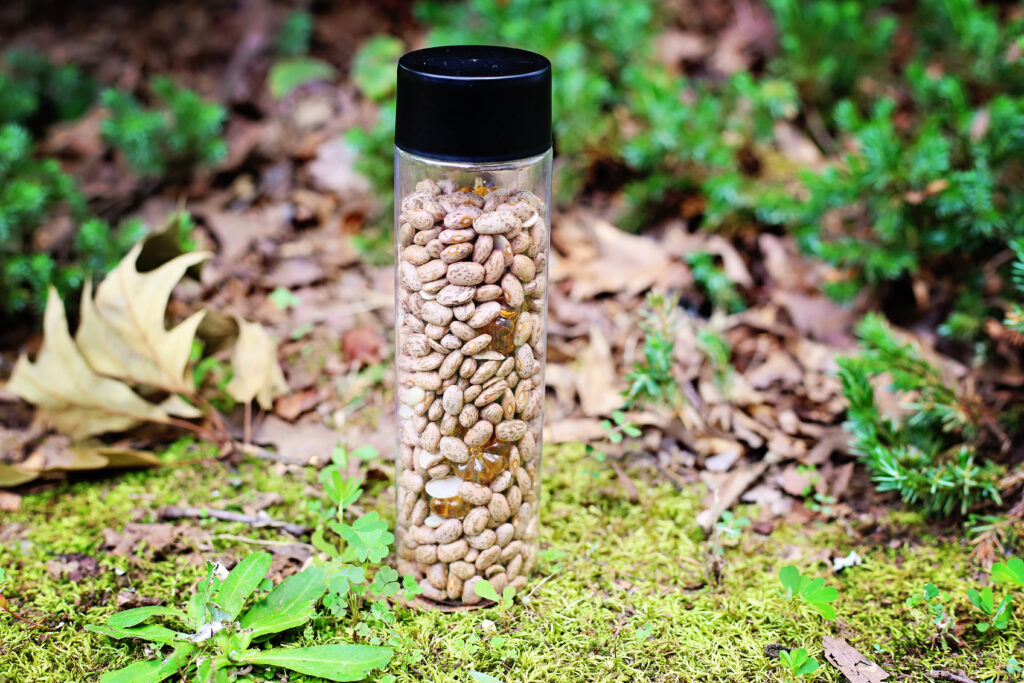 5 Little Pumpkins Sensory Bottle Final 3 - Cultivating Brilliant Minds 5 Little Pumpkins Sensory Bottle