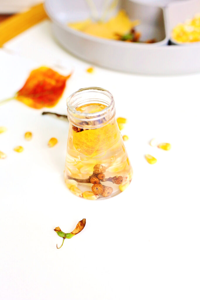 Fall Potion Station 5 - Cultivating Brilliant Minds fall potion station