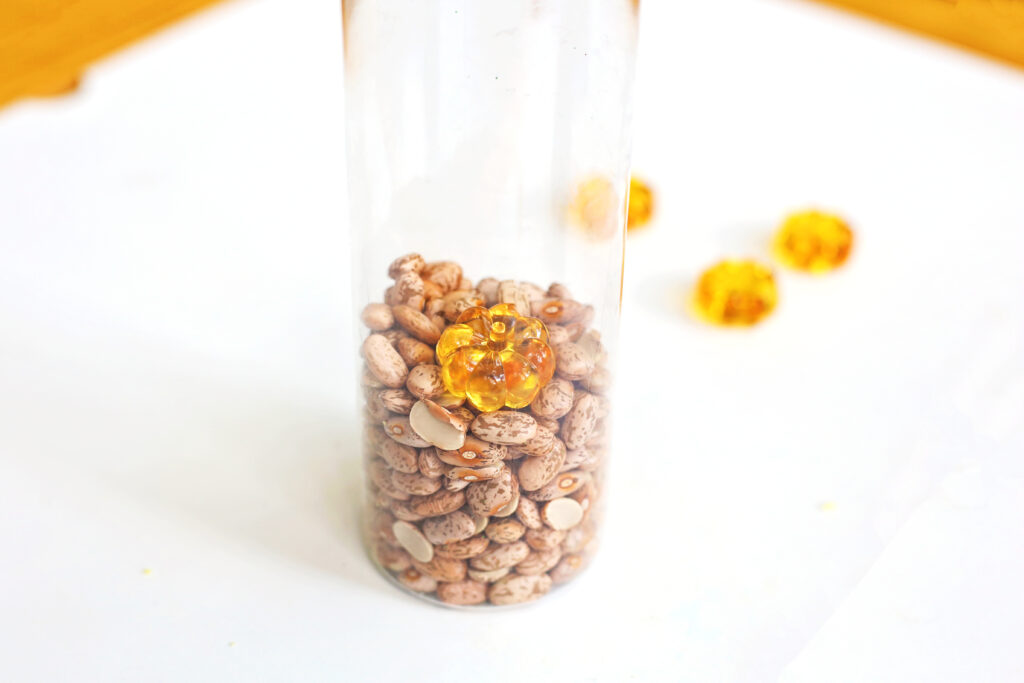 Fill Bottle 2 - Cultivating Brilliant Minds layer the beans and pumpkins