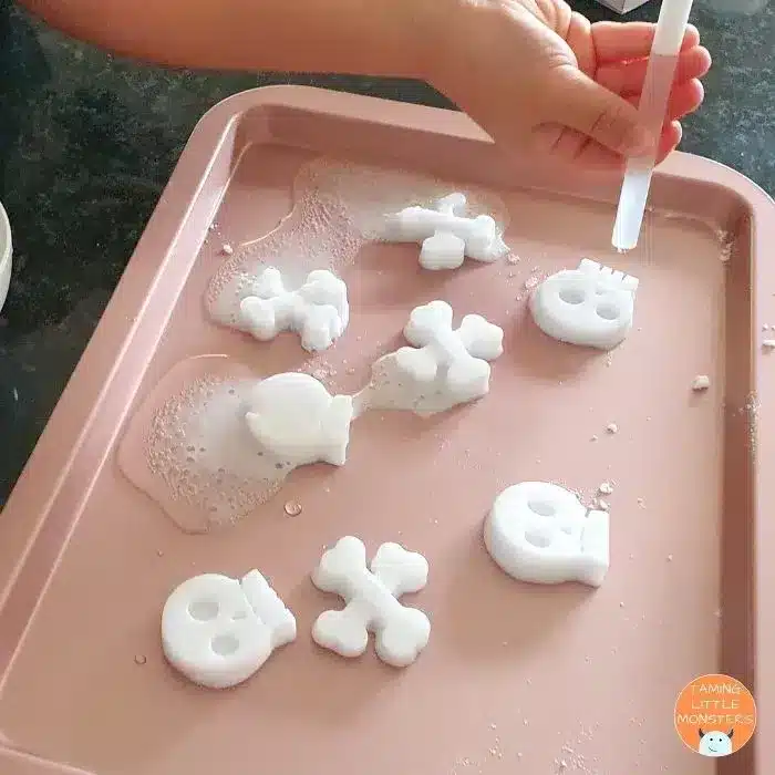 Fizzy Bones Science Activity - Cultivating Brilliant Minds Fizzy Bones Science Activity