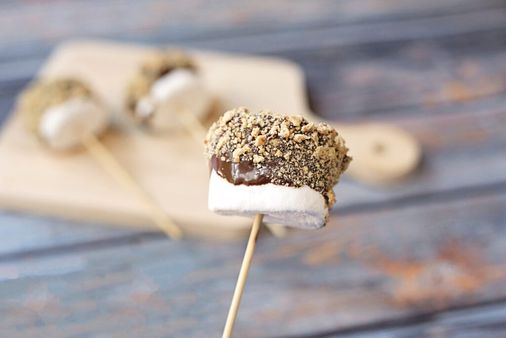 S_mores Pops Final 6 - Cultivating Brilliant Minds s'mores pops recipe