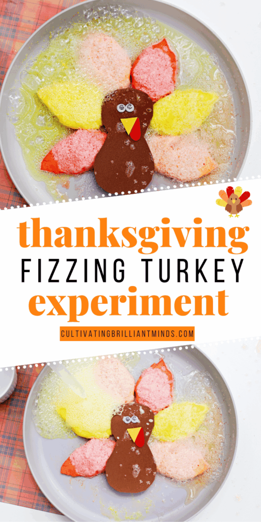 Thanksgiving Fizzing Turkey Experiment - Cultivating Brilliant Minds baking soda and vinegar turkey experiment for thanksgiving