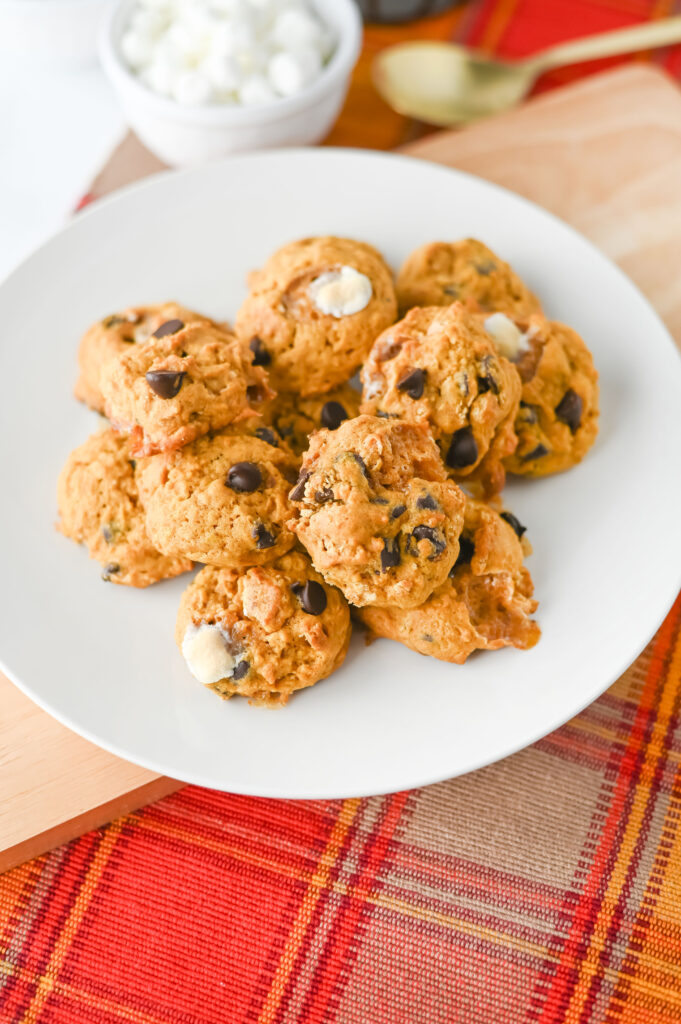 pumpkin s'mores cookies - Cultivating Brilliant Minds pumpkin s'mores cookies on a plate in a kitchen