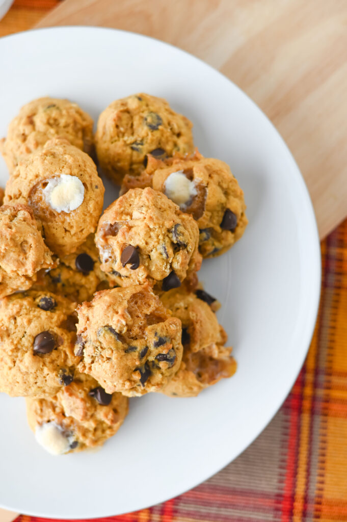 pumpkin s'mores cookies - Cultivating Brilliant Minds pumpkin s'mores cookies on a white plate