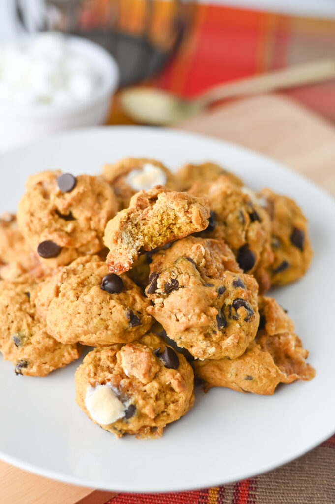 pumpkin s'mores cookies - Cultivating Brilliant Minds pumpkin s'mores cookies on a white plate