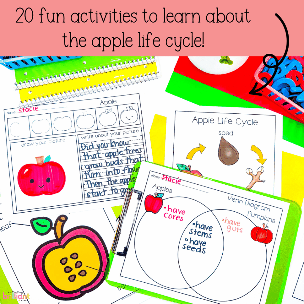 Apple life cycle science mini-unit