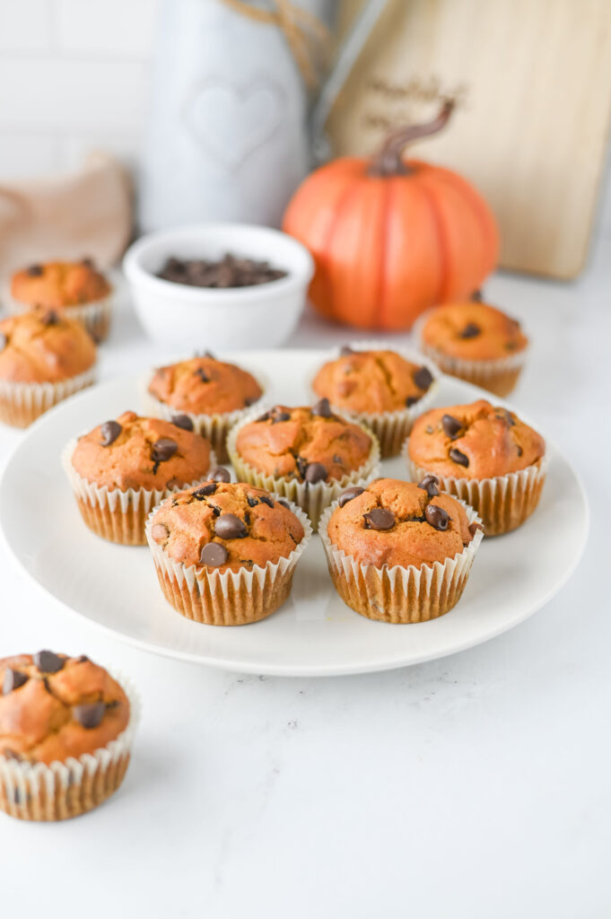 Pumpkin Chocolate Chip Muffins - Cultivating Brilliant Minds pumpkin chocolate chip muffins on a white plate