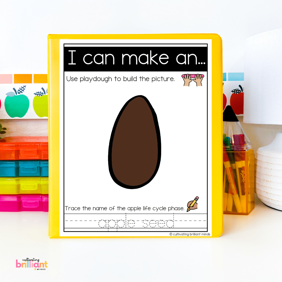 4 - Cultivating Brilliant Minds Apple life cycle play dough mats