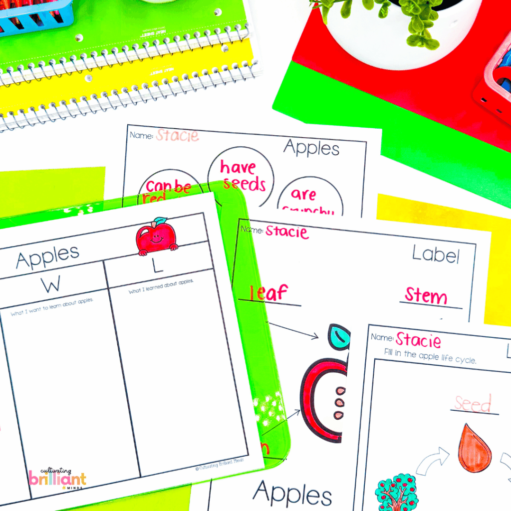 Apple life cycle science mini-unit