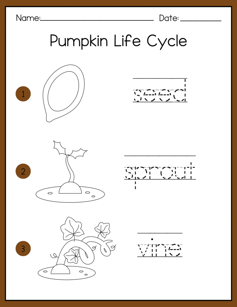 Pumpkin Life Cycle Activities - Cultivating Brilliant Minds Pumpkin life cycle tracing