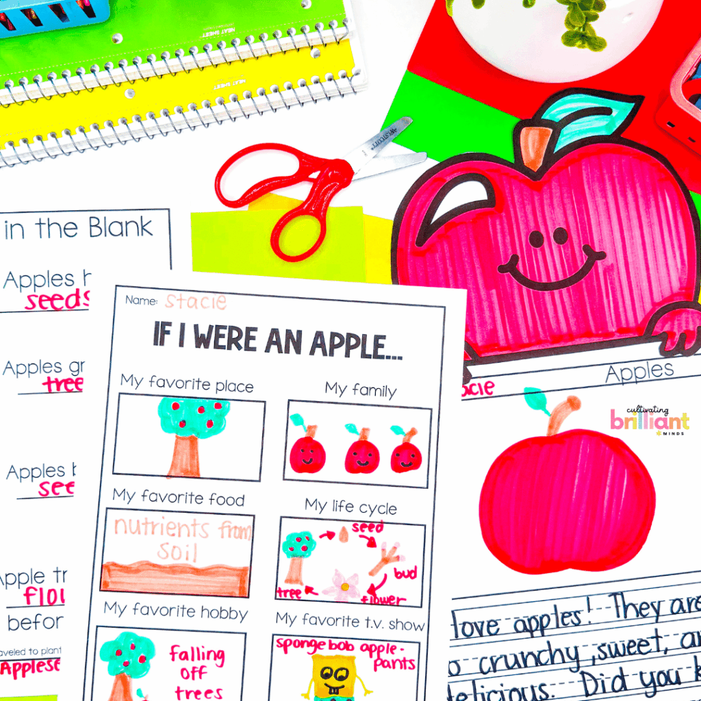 Apple life cycle science mini-unit