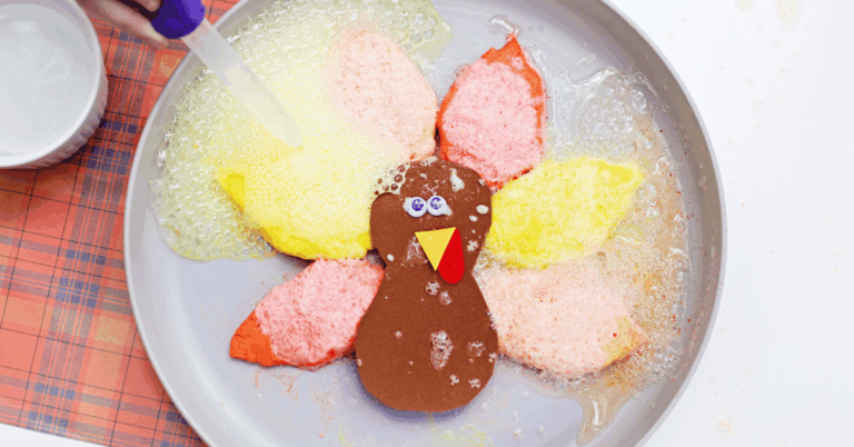 Fizzy Turkey Feather Experiment