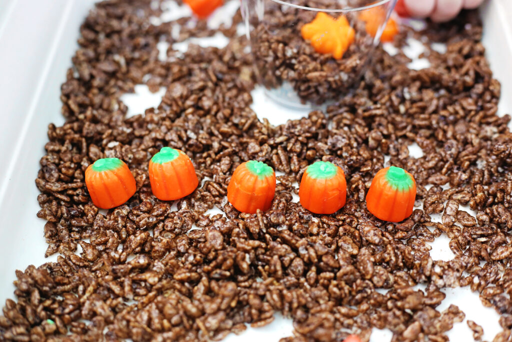 Edible Pumpkin Patch Sensory Bin 9 - Cultivating Brilliant Minds Edible Pumpkin Patch Sensory Bin with 5 pumpkins in a line