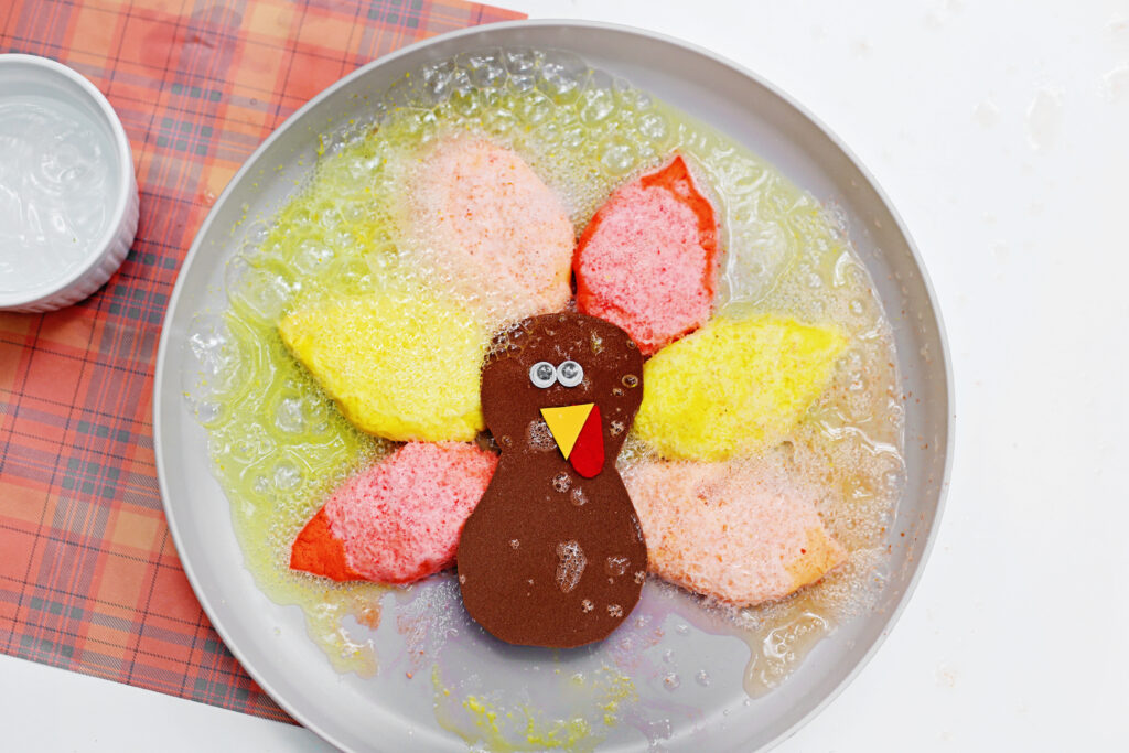 Fizzy Turkey Feather Experiment 6 - Cultivating Brilliant Minds Fizzy Turkey Feather Experiment on a plate with a plaid background