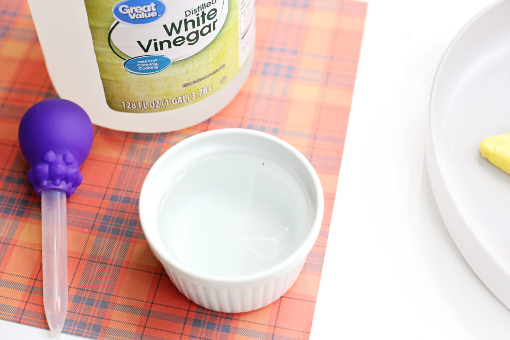 Vinegar - Cultivating Brilliant Minds a close up on white vinegar in a jar