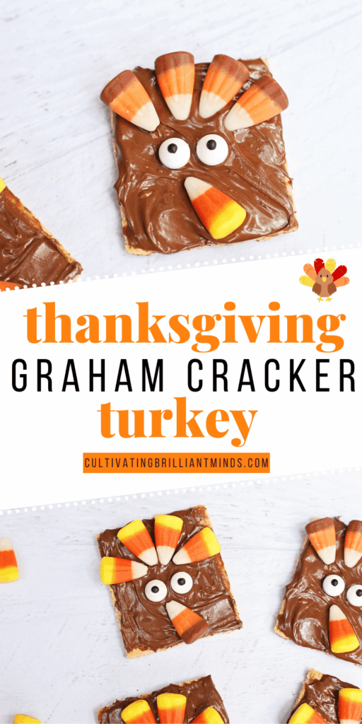 Graham Cracker Turkey - Cultivating Brilliant Minds Graham crackers decorated to look like a turkey