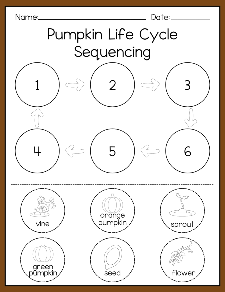 Pumpkin Life Cycle Activities - Cultivating Brilliant Minds pumpkin life cycle sequencing activity