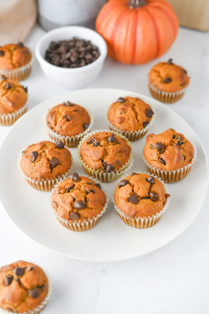Pumpkin Chocolate Chip Muffins - Cultivating Brilliant Minds Pumpkin Chocolate Chip Muffins on a white plate