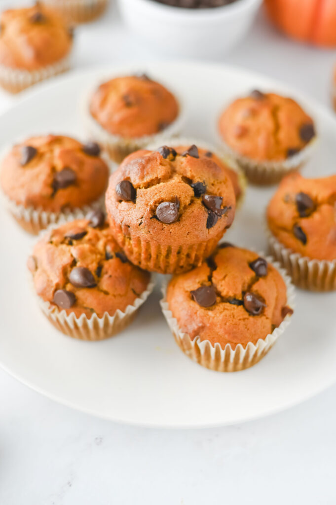 Pumpkin Chocolate Chip Muffins - Cultivating Brilliant Minds Pumpkin Chocolate Chip Muffins