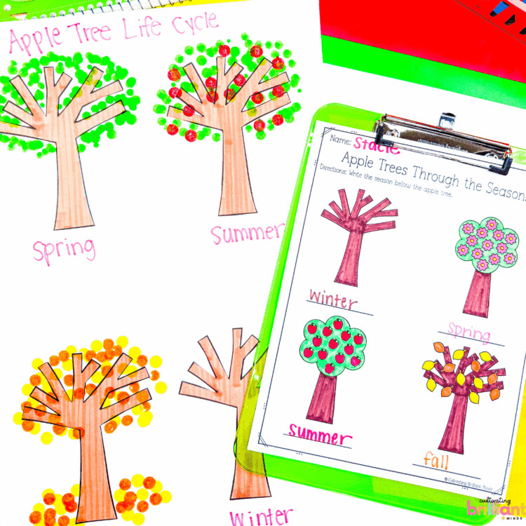 Apple Investigations Science Unit for Kids