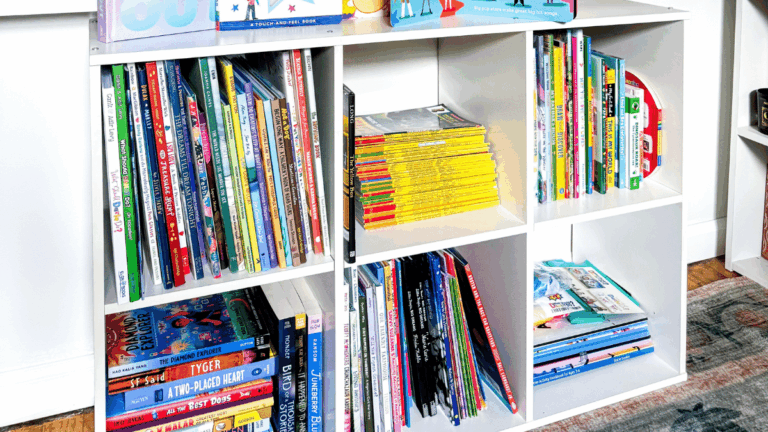 shelves filled with kids books