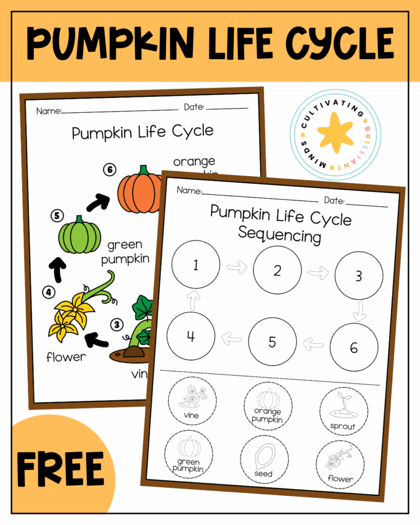 Pumpkin Life Cycle Activities - Cultivating Brilliant Minds Pumpkin Life Cycle Worksheets for kids
